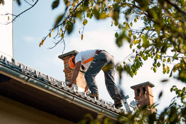 Best Storm Damage Roof Repair  in Wrightstown, WI